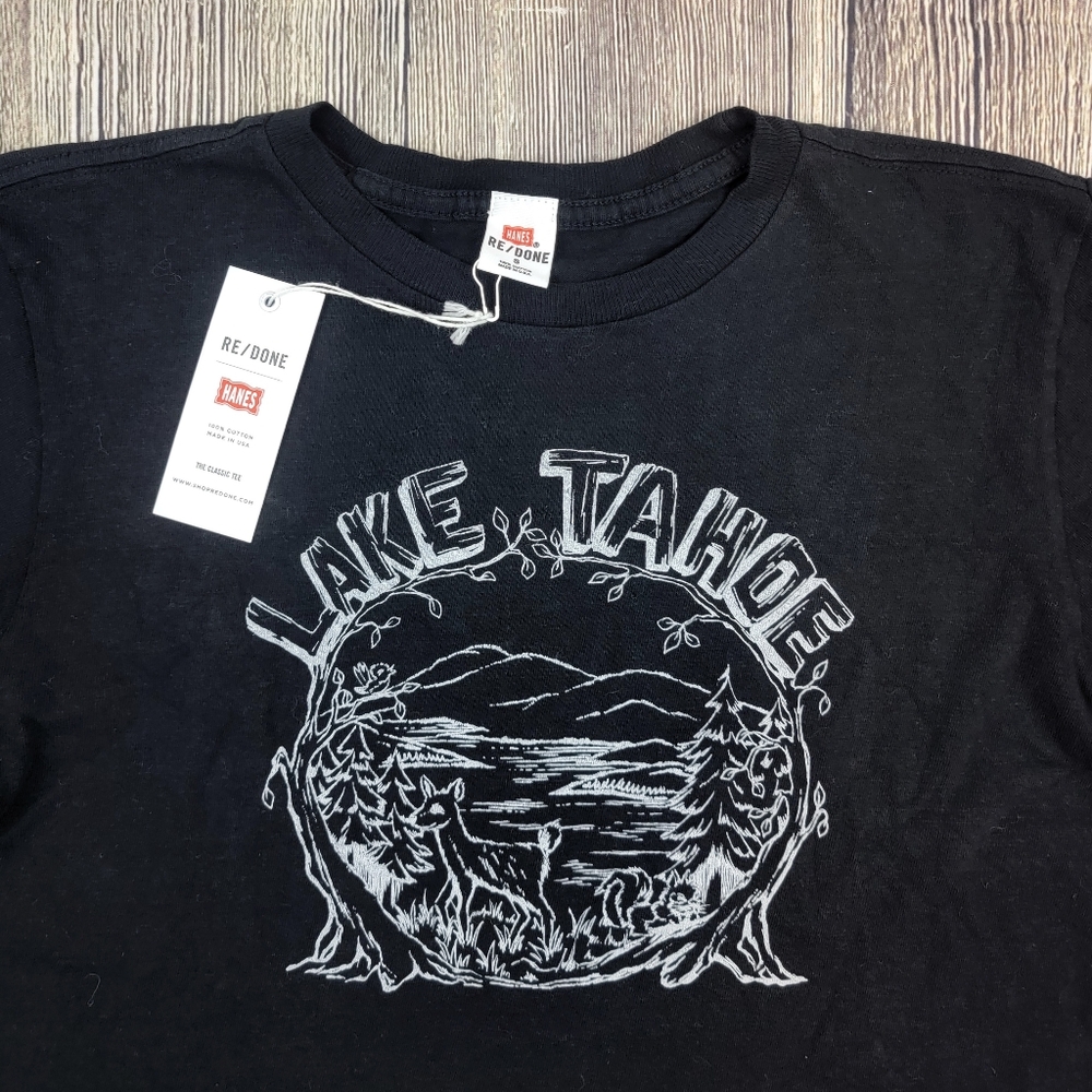 Re/Done x Hanes NWT Lake Tahoe Classic Tee - Picture 4 of 10